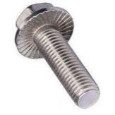 Coarse Thread Serrated Hex Flange Bolt, Zinc